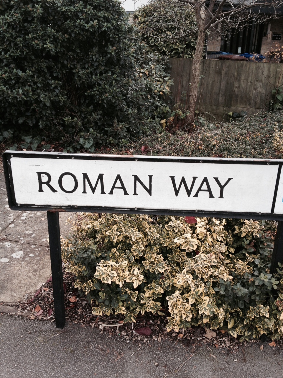 Elegir nombre dominio Roman